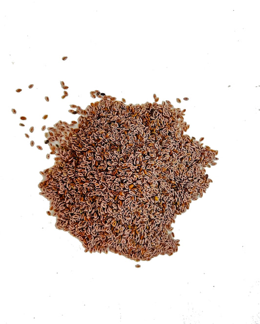 Psyllium Seeds