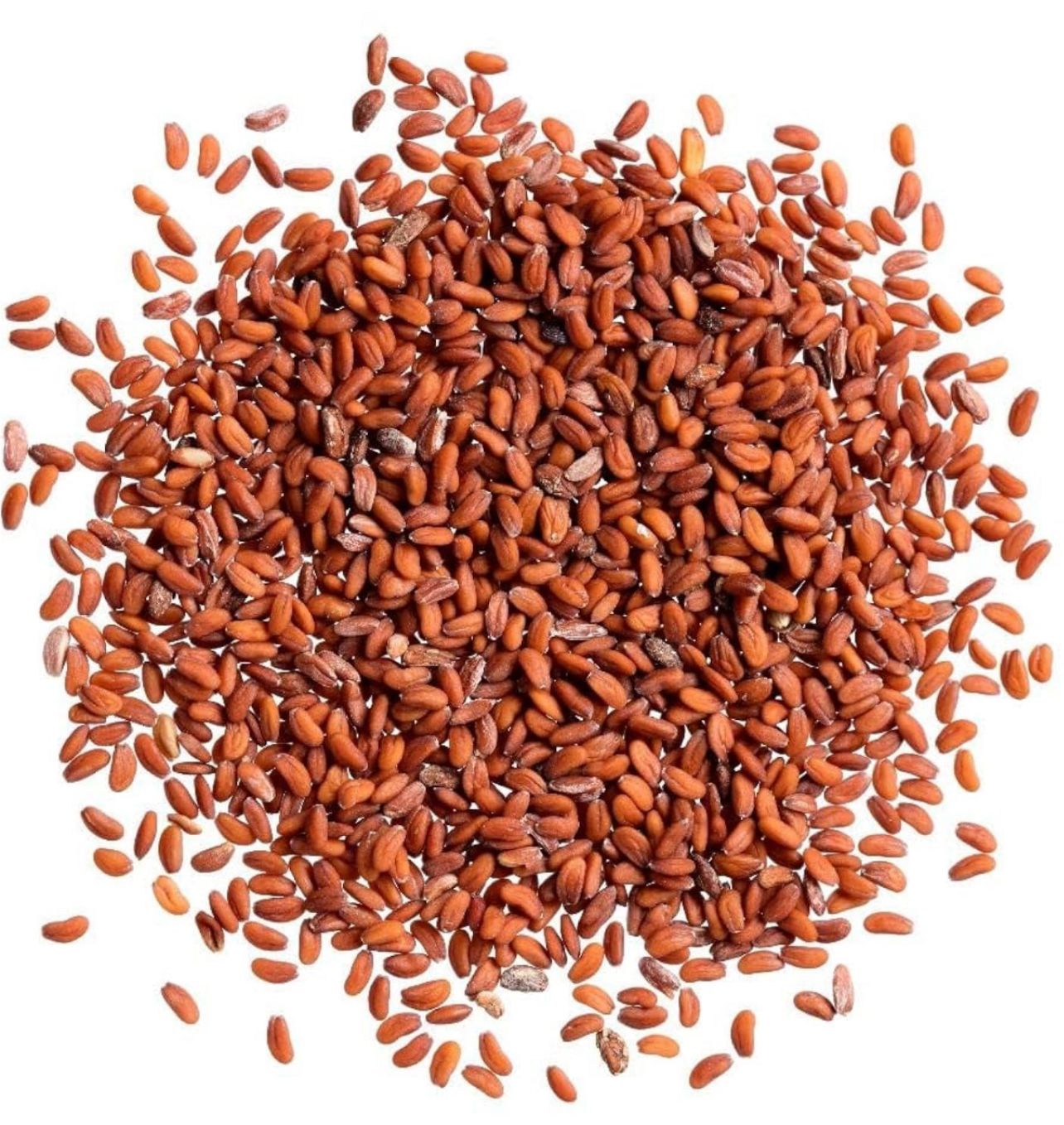Cress Seeds